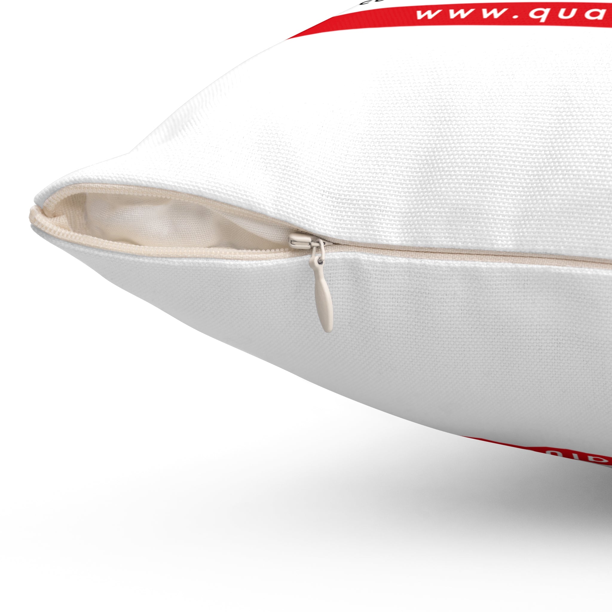 Quaaludes Decorative Pillow